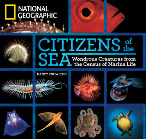 Citizens of the Sea: Wondrous Creatures From the Census of Marine Life – GOOD
