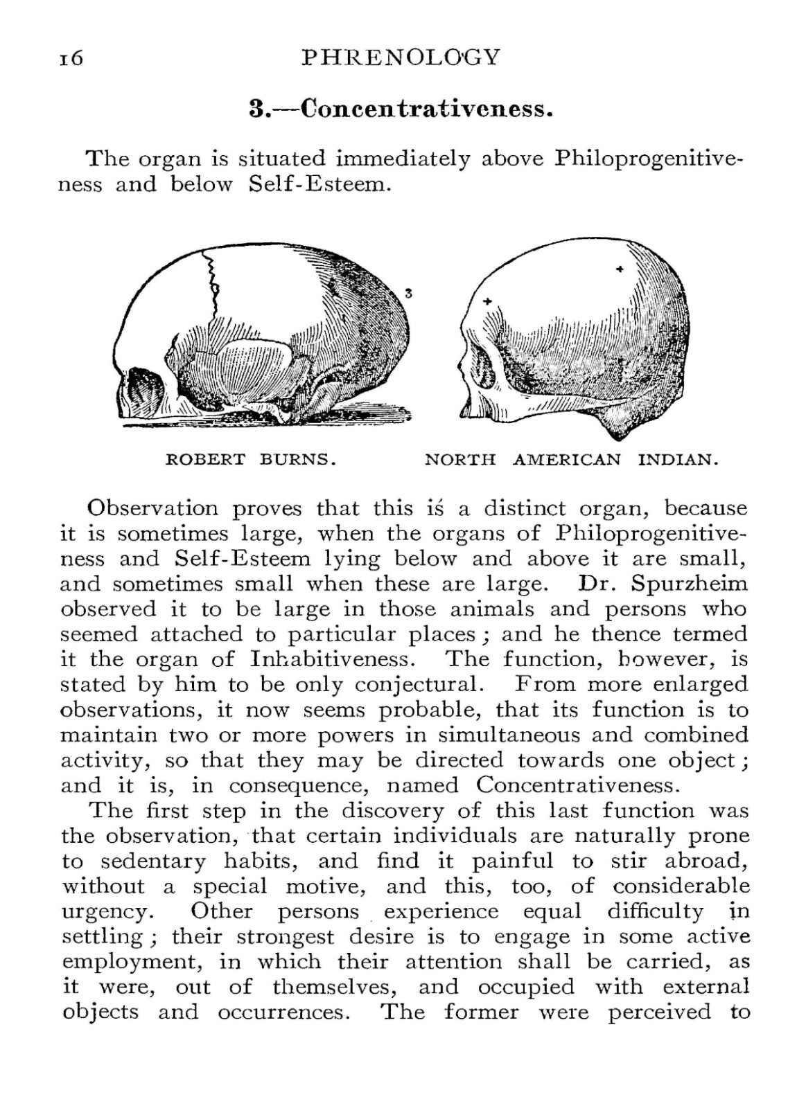 Phrenology How to Read The Head “1891” 67 Pages
