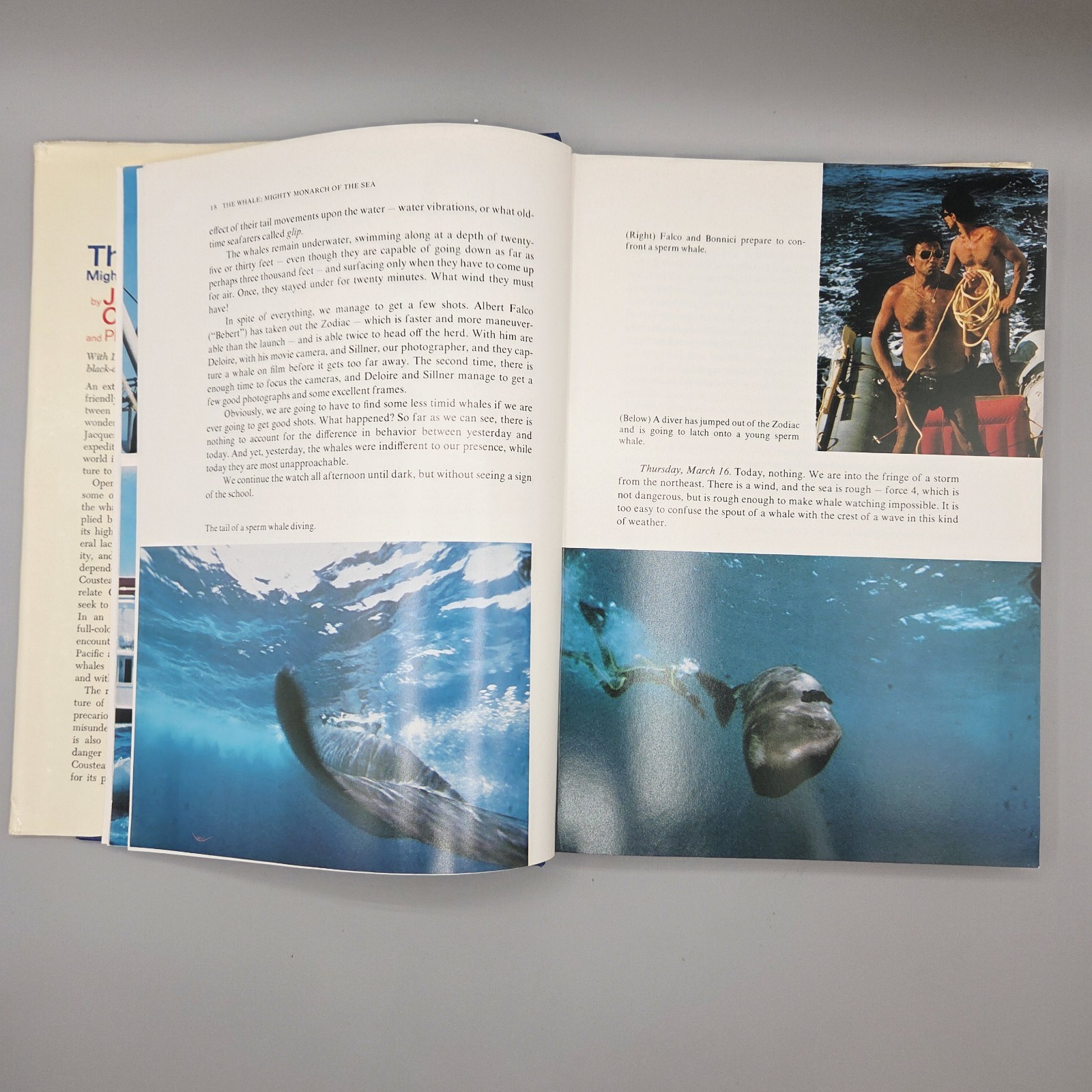 Jacques Cousteau Doubleday HCDJ Lot of 7 Shark Whale Octopus Diving Adventures