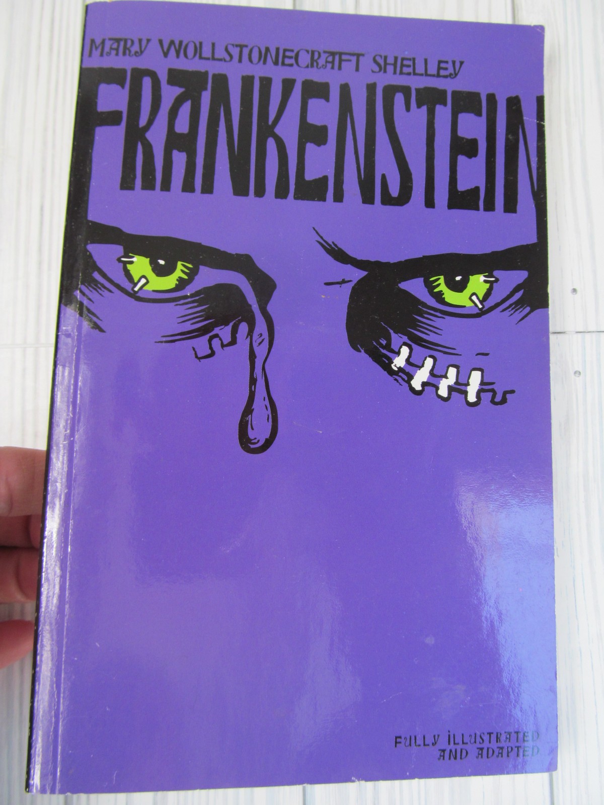 Frankenstein Mary Wollstonecraft Shelley 2013 Illustrated Junior Classic Book K