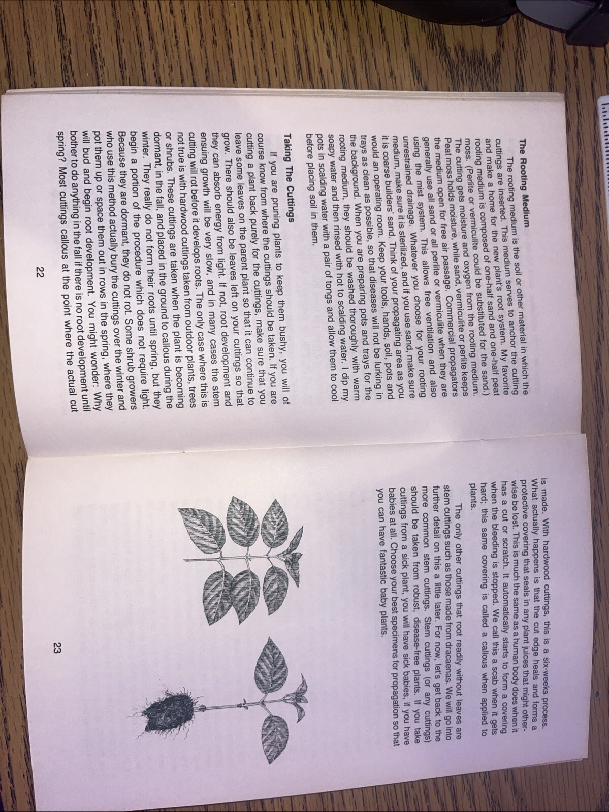 1976 Sex and the Single Plant Propagation Booklet Rex Mabe Potpourri Press