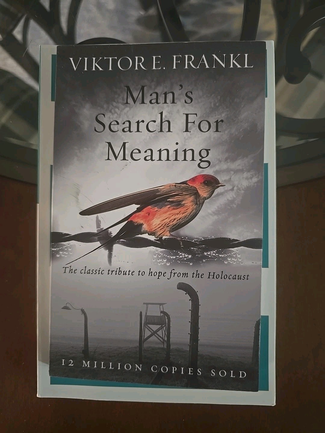 Man’s Search For Meaning