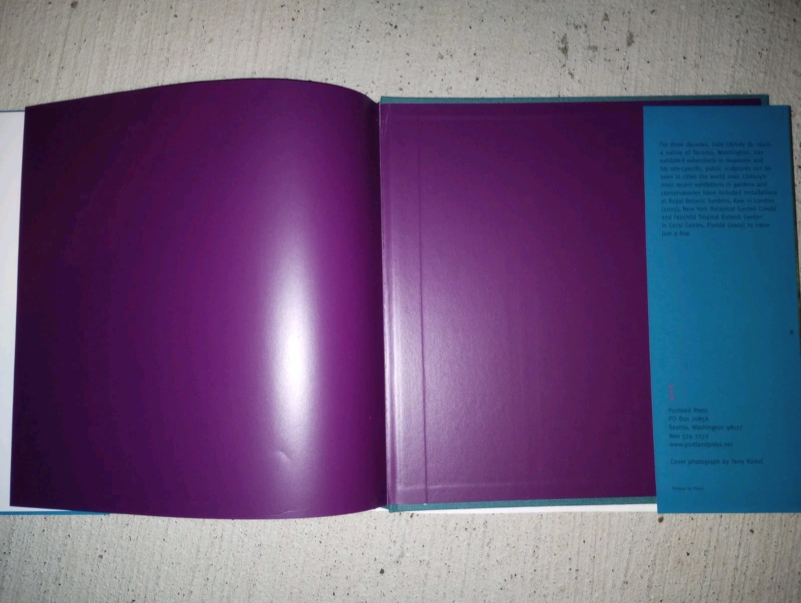 Chihuly Bellagio SIGNED by the author, With DVD 2007 Limited Hardcover VG