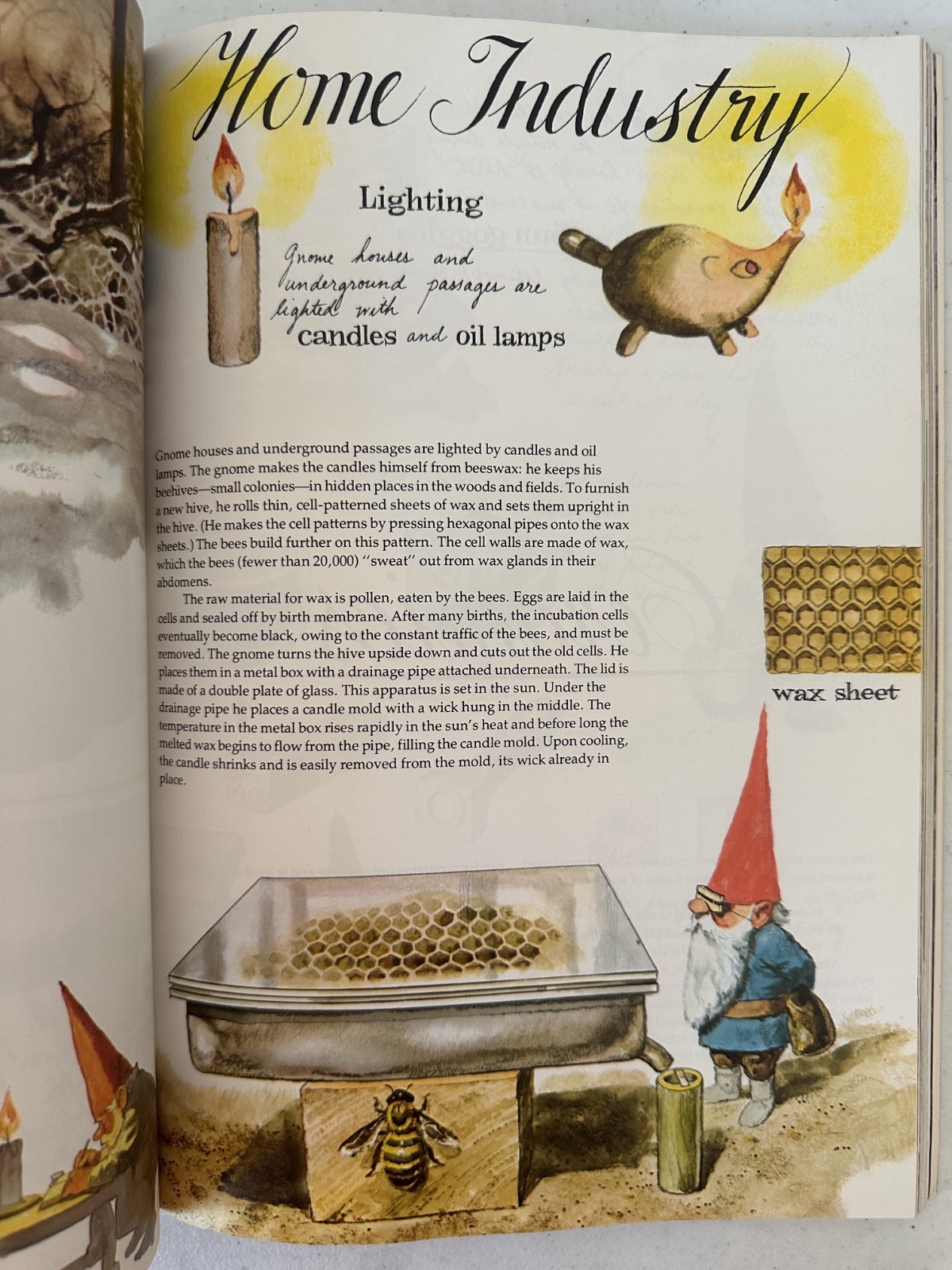Gnomes Huygen Poortvliet 1979 1st PB printing art fairy fantasy VTG forest draw