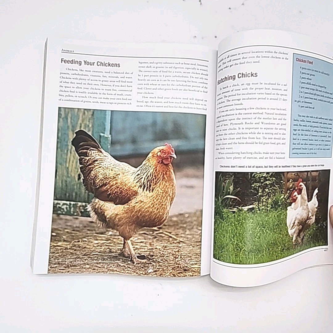The Big Book of Country Living by Abigail Gehring FIRST EDITION Paperback Book