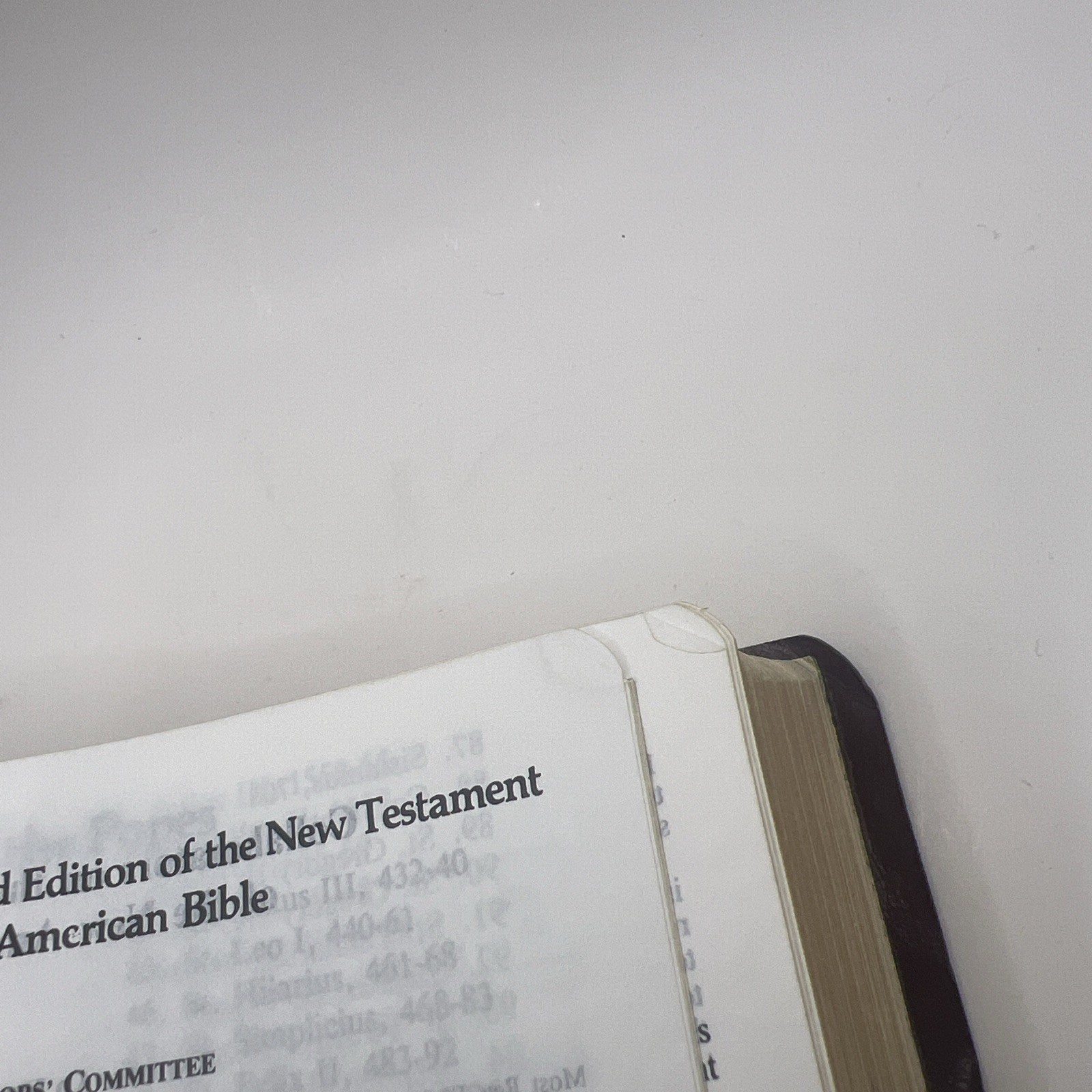 The New American Bible – Catholic World Press 2402BG Red Letter Edition