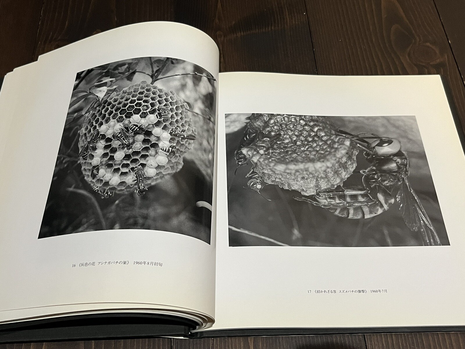 RARE 1998 1ST EDITION YUKIO TABUCHI PHOTO BOOK JAPANESE PHOTOGRAPHER VOL.11
