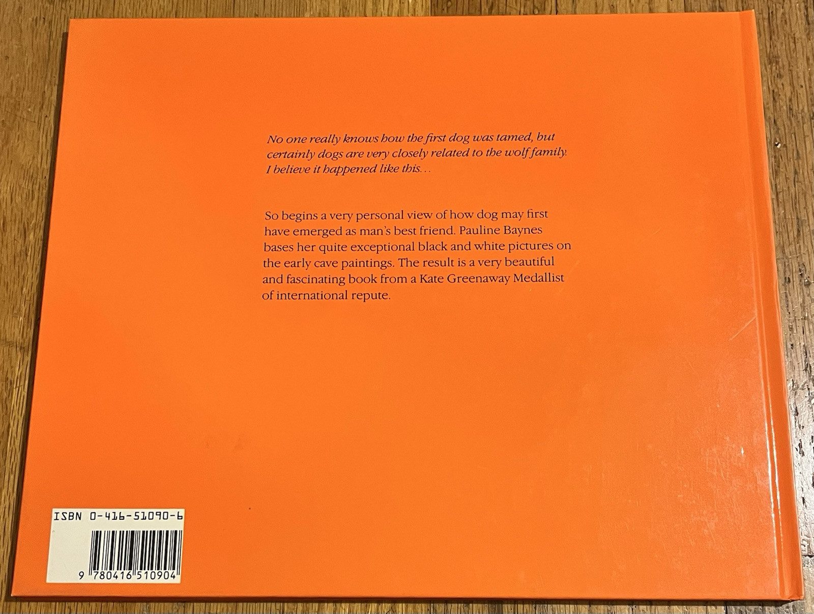 HOW DOG BEGAN : by Pauline Baynes : vintage 1985