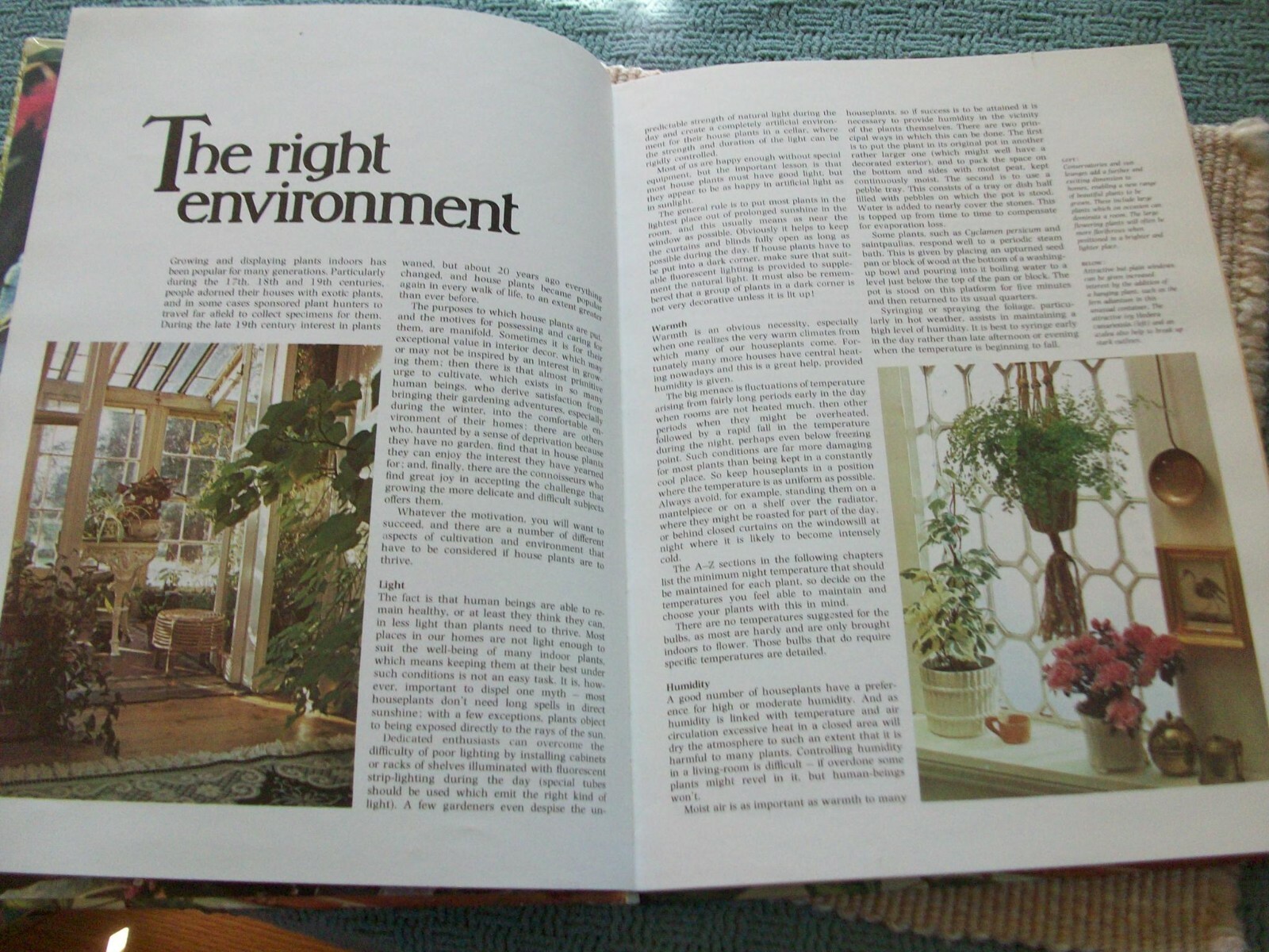 Colorful Houseplants by David Squire and Peter McHoy (1979,hardcover) gardening