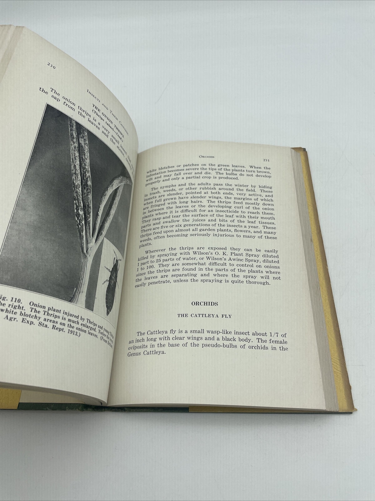 Insects And Their Control By Andrew Wilson 2nd Printing 1931 Horticulture Nature