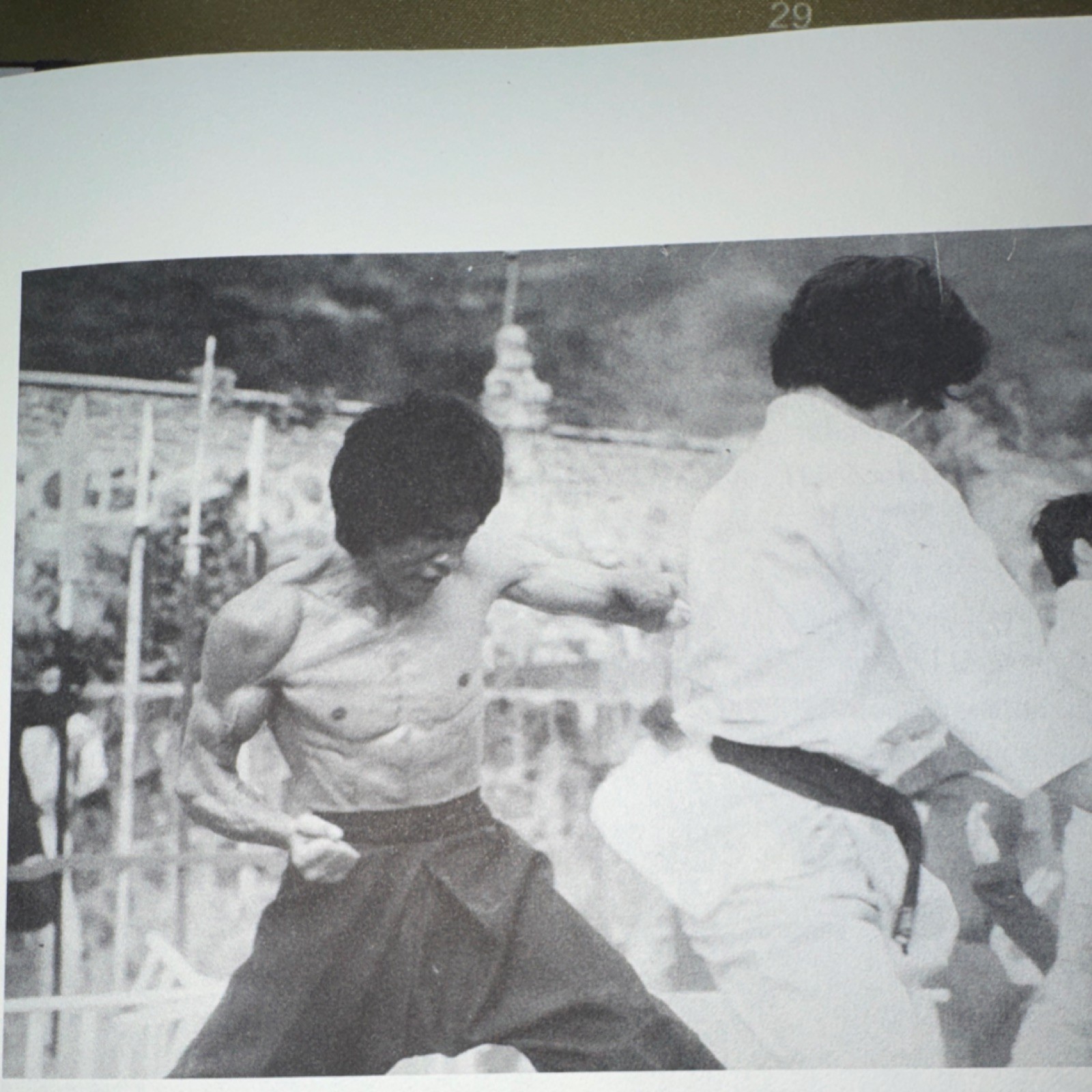 Bruce Lee The Art of Expressing the Human Body Bruce Lee Paperback Martial Arts