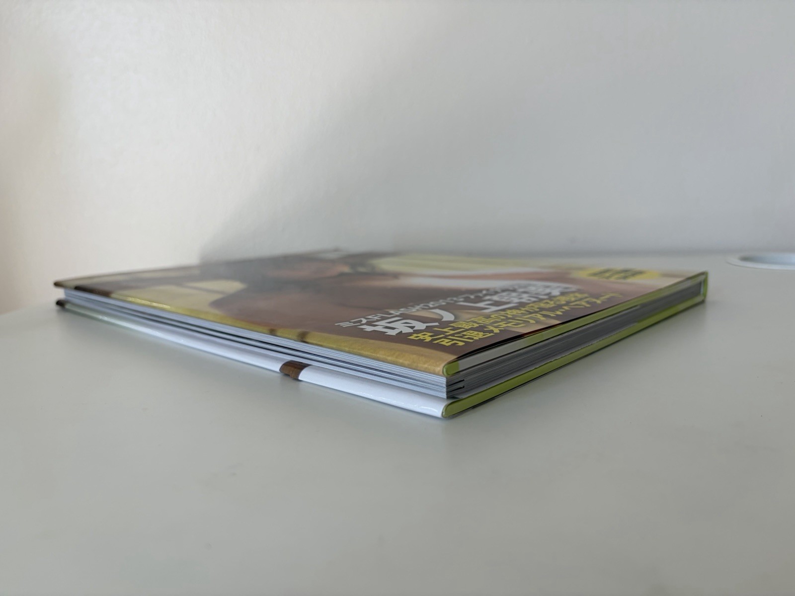 Japanese Shashinshu Asami Sakinoue Photo Book わすれな草 by 松田忠雄 2014 DVD Included