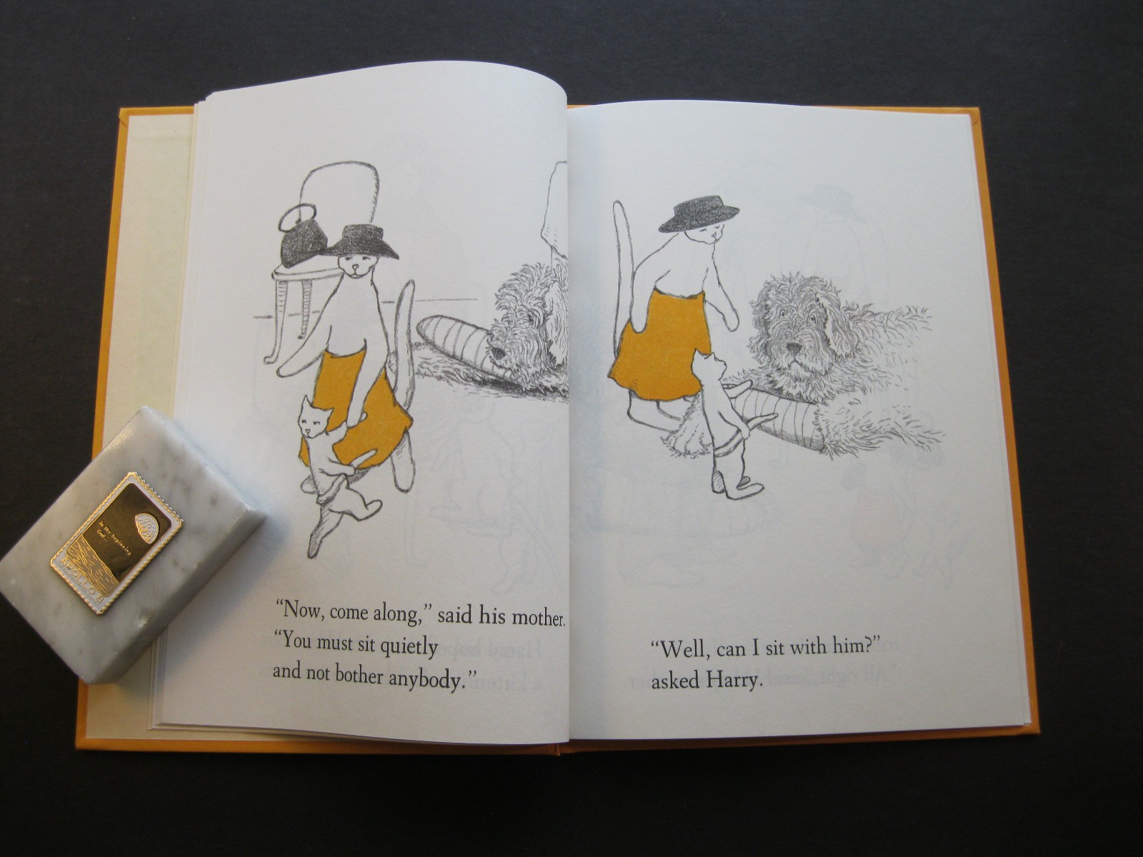 COME TO THE DOCTOR, HARRY Mary Chalmers 1981 hb cat tail hurt 7×9 VG