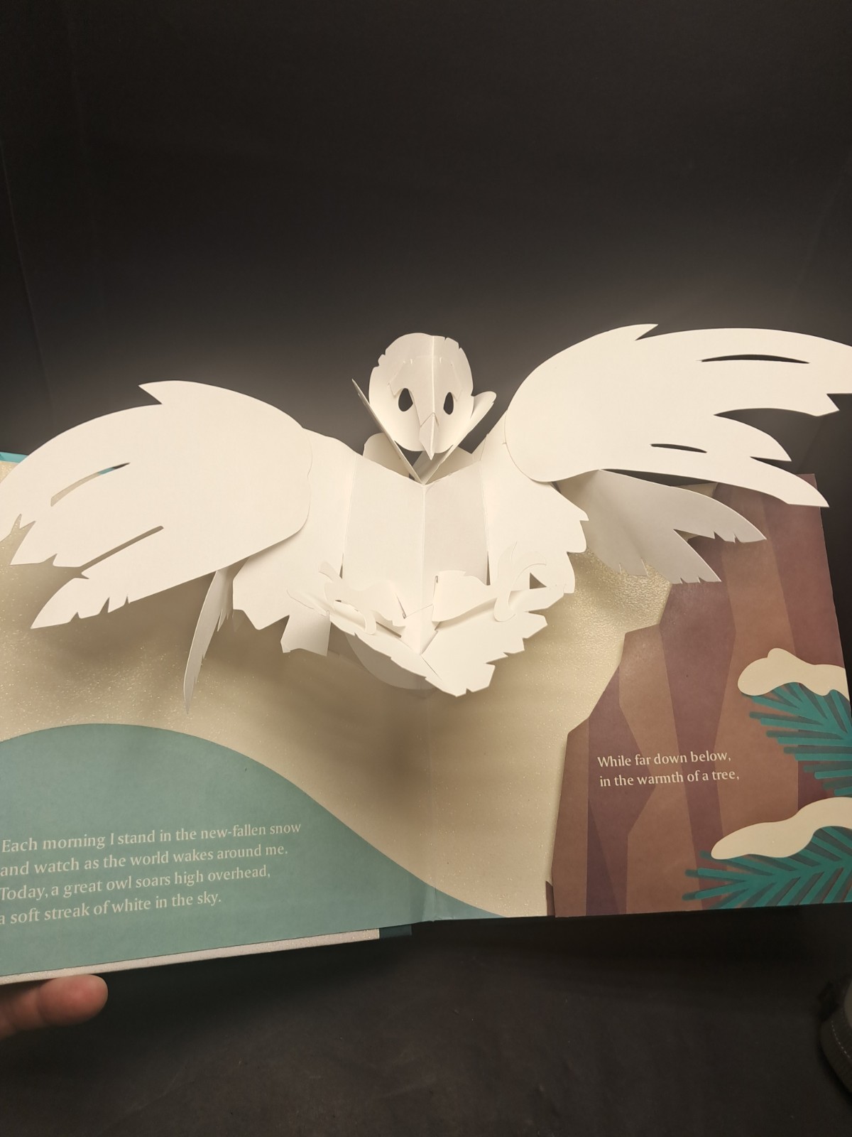 Winters Tale – Pop-up book by Robert Sabuda