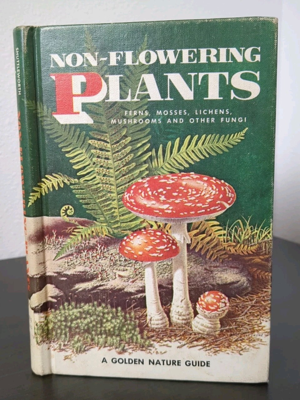 Non-Flowering Plants Golden Nature Guide Hardcover Book Mushrooms 1967
