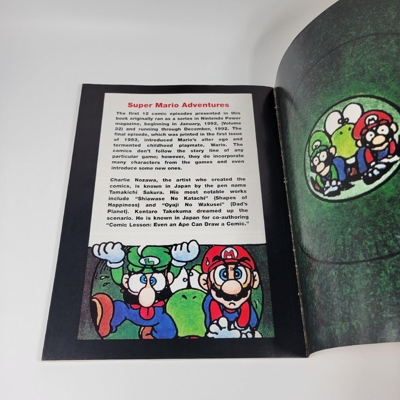 VTG Nintendo Super Mario Adventures Charlie Nozawa Original 1st Edition 1993 VG