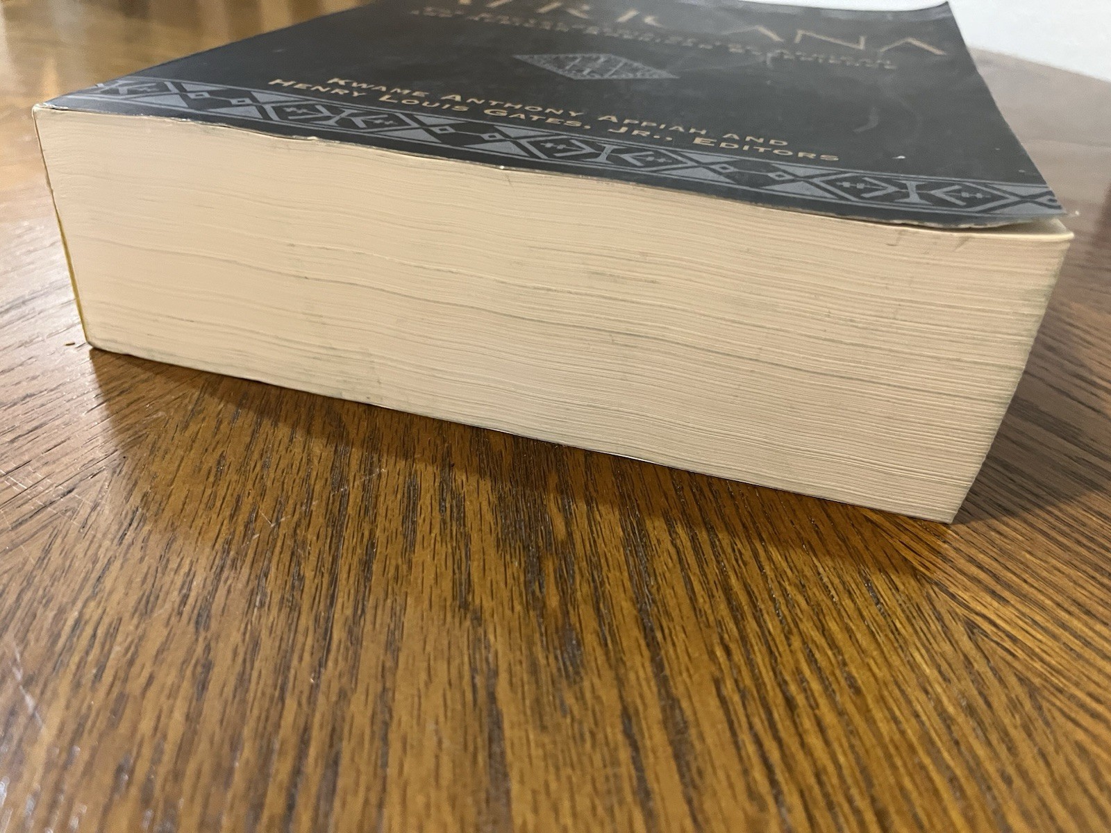 Africana The Encyclopedia of the African American Experience Paperback 1999
