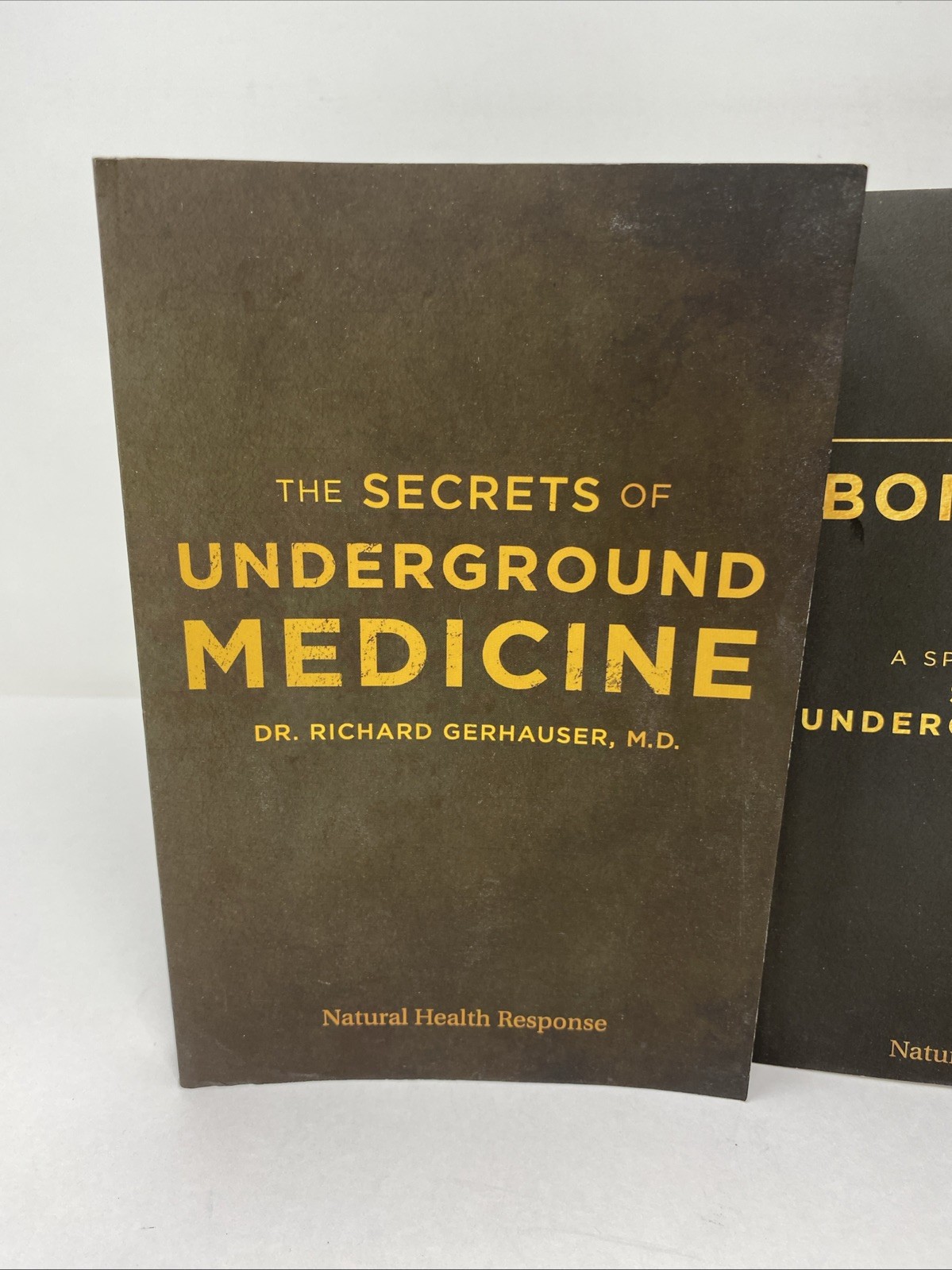 Secrets of Underground Medicine + 15 Bonus Cures 2‑Book Set Richard Gerhauser
