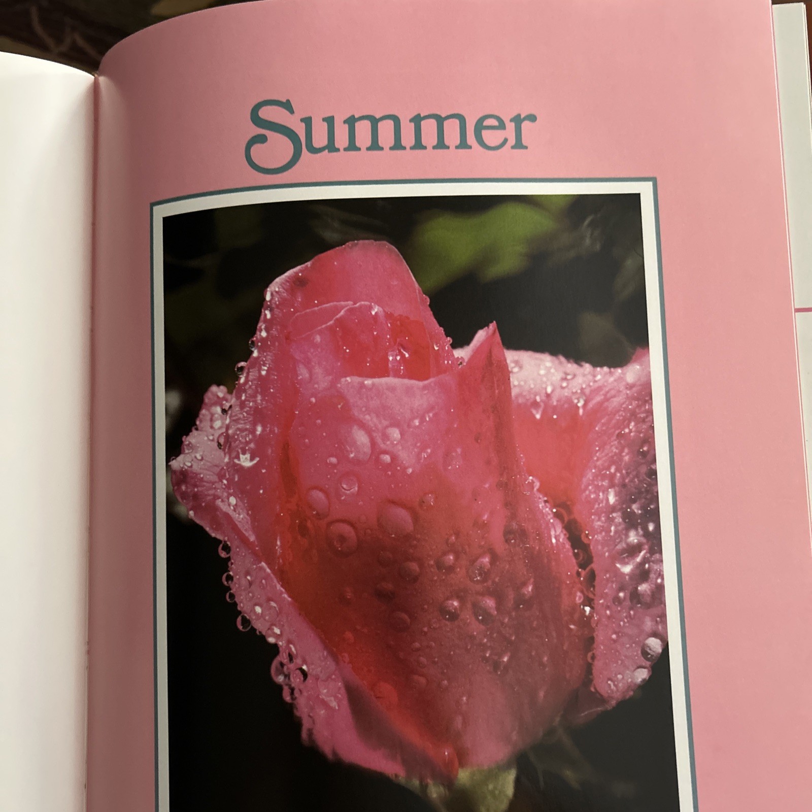 First Edition: COLOR The Essence of You Suzanne Caygill