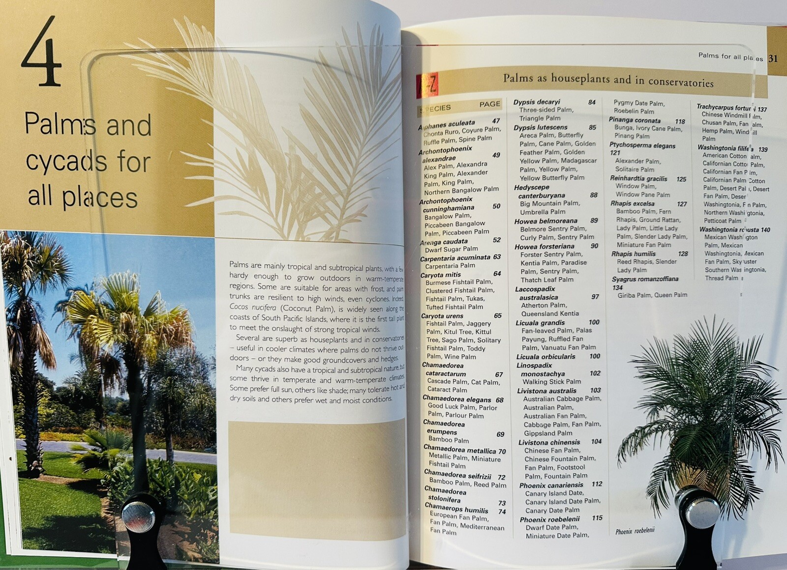 Palms And Cycads: A Guide To Selecting, Growing & Propagating David Squire New