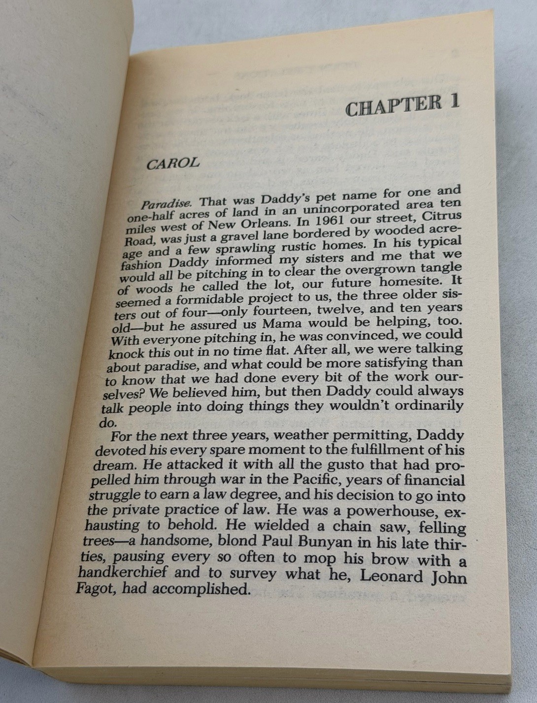Deadly Relations by Carol Donahue (1991, Mass Market) GOOD
