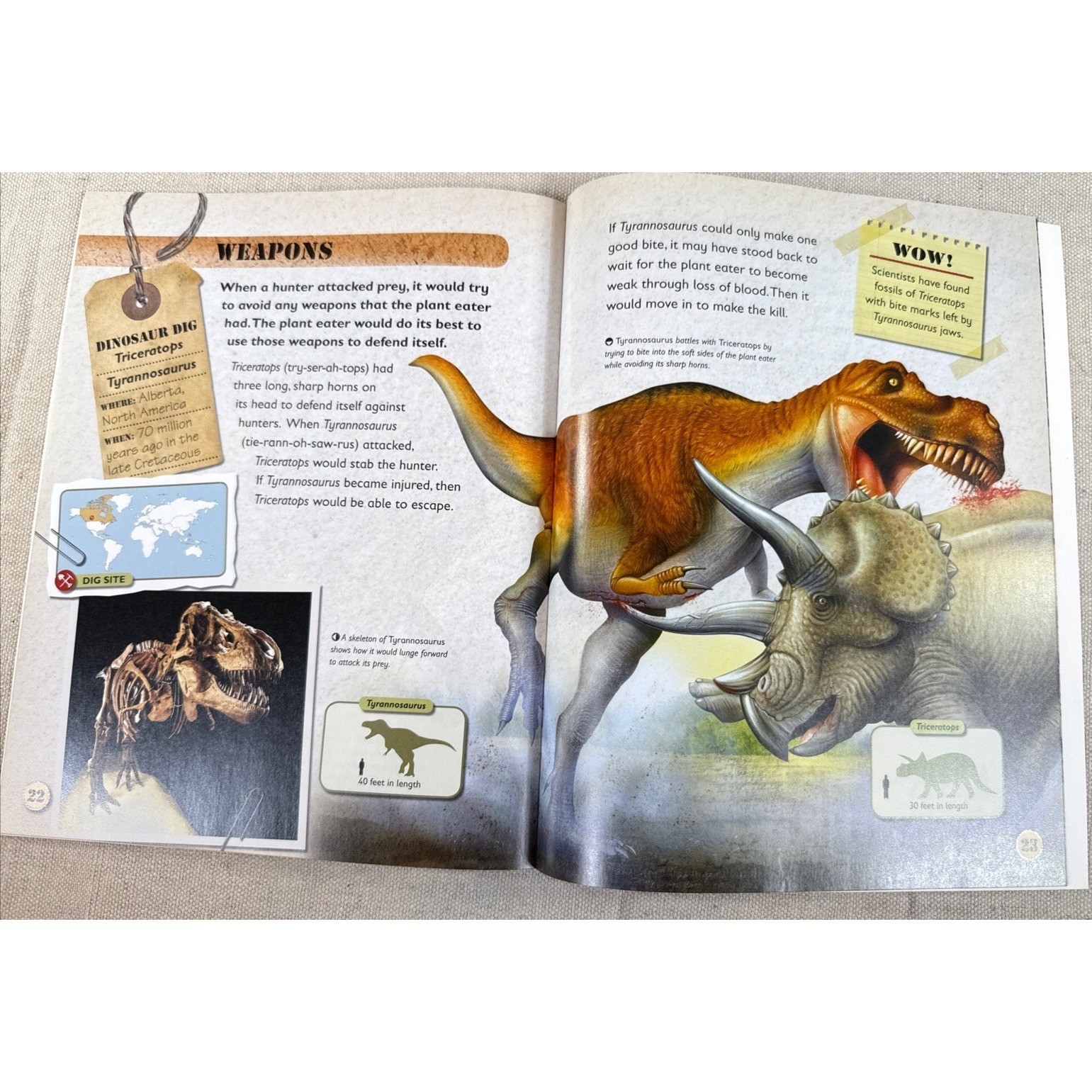 Dinosaur Books Kids Set 4 Rupert Matthews QEB Fossil Science Lot