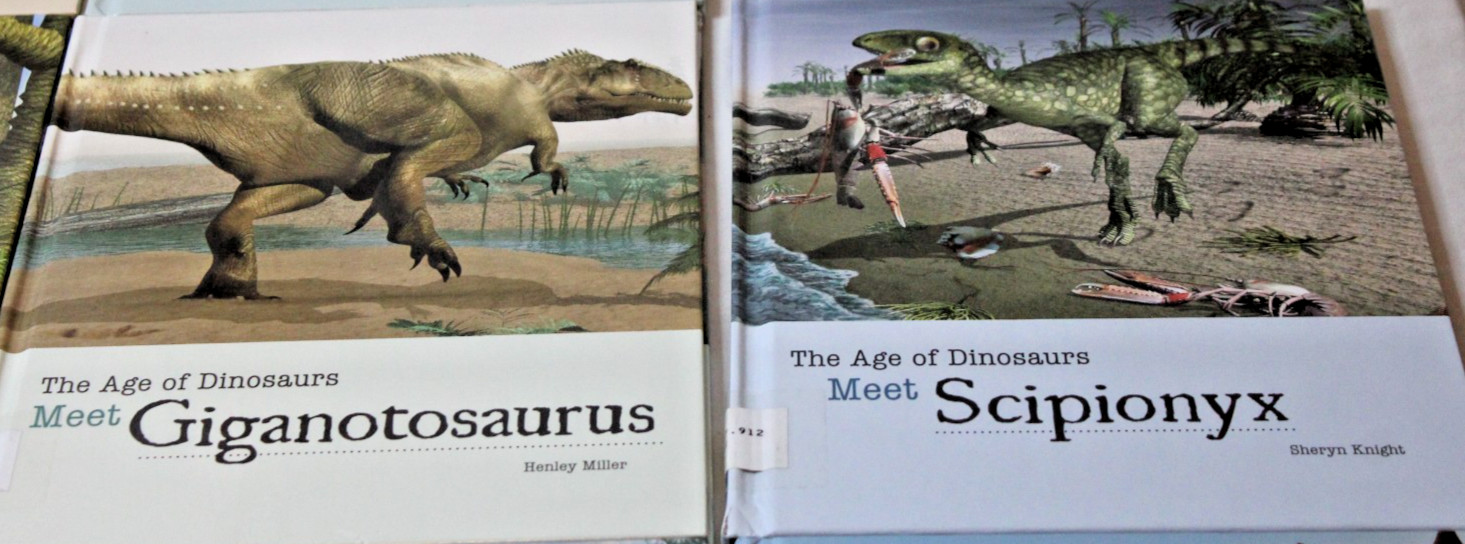 Lot 14 Library Bound Hardcover The Age of Dinosaurs Books