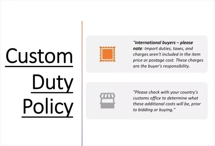 The Red Book Liber Novus Reader’s Edition – C. G. Jung | Psychology Philosophy