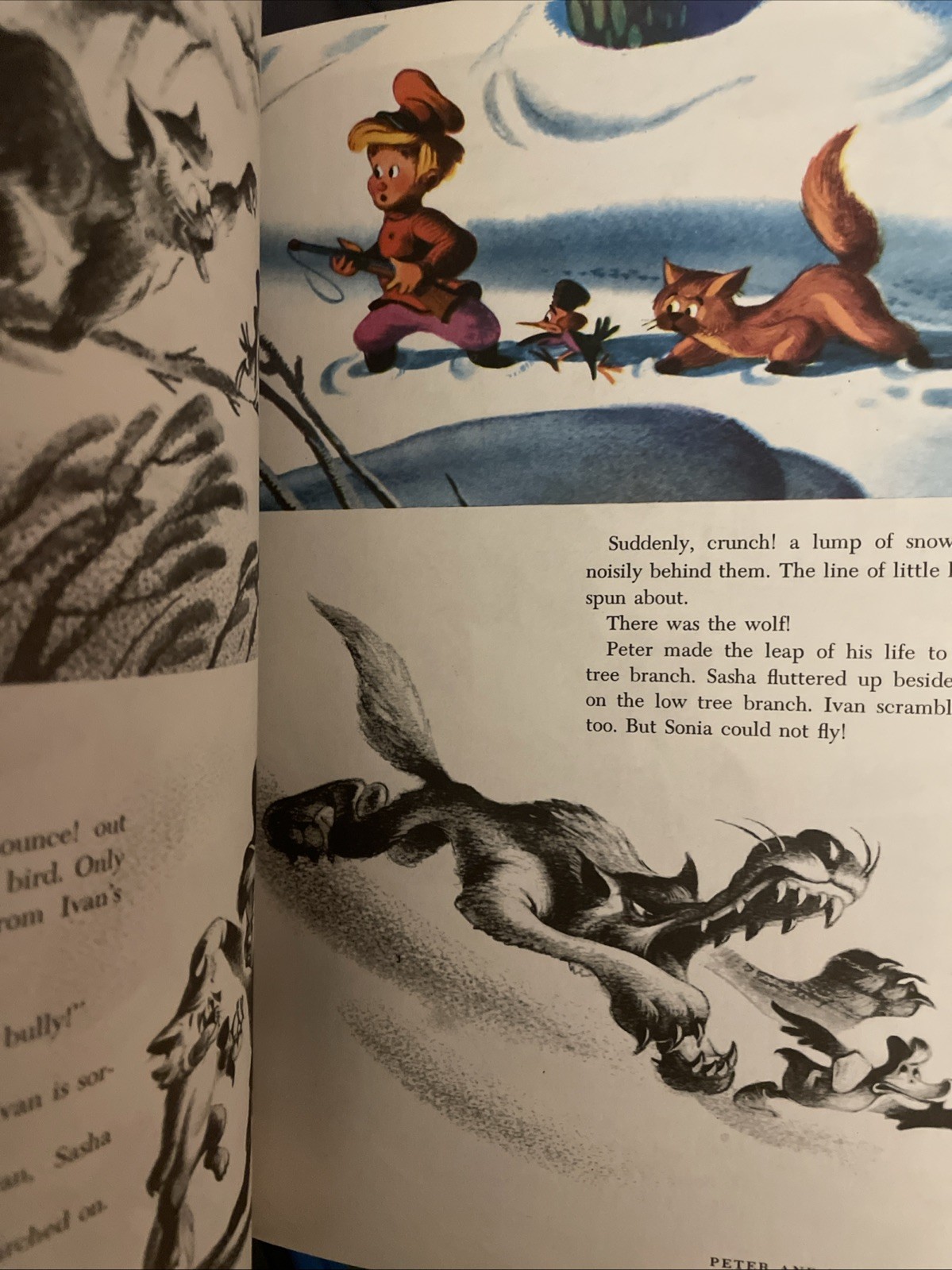 1965 The Wonderful Worlds of Walt Disney 4 Book Boxed Set Golden Press Vintage