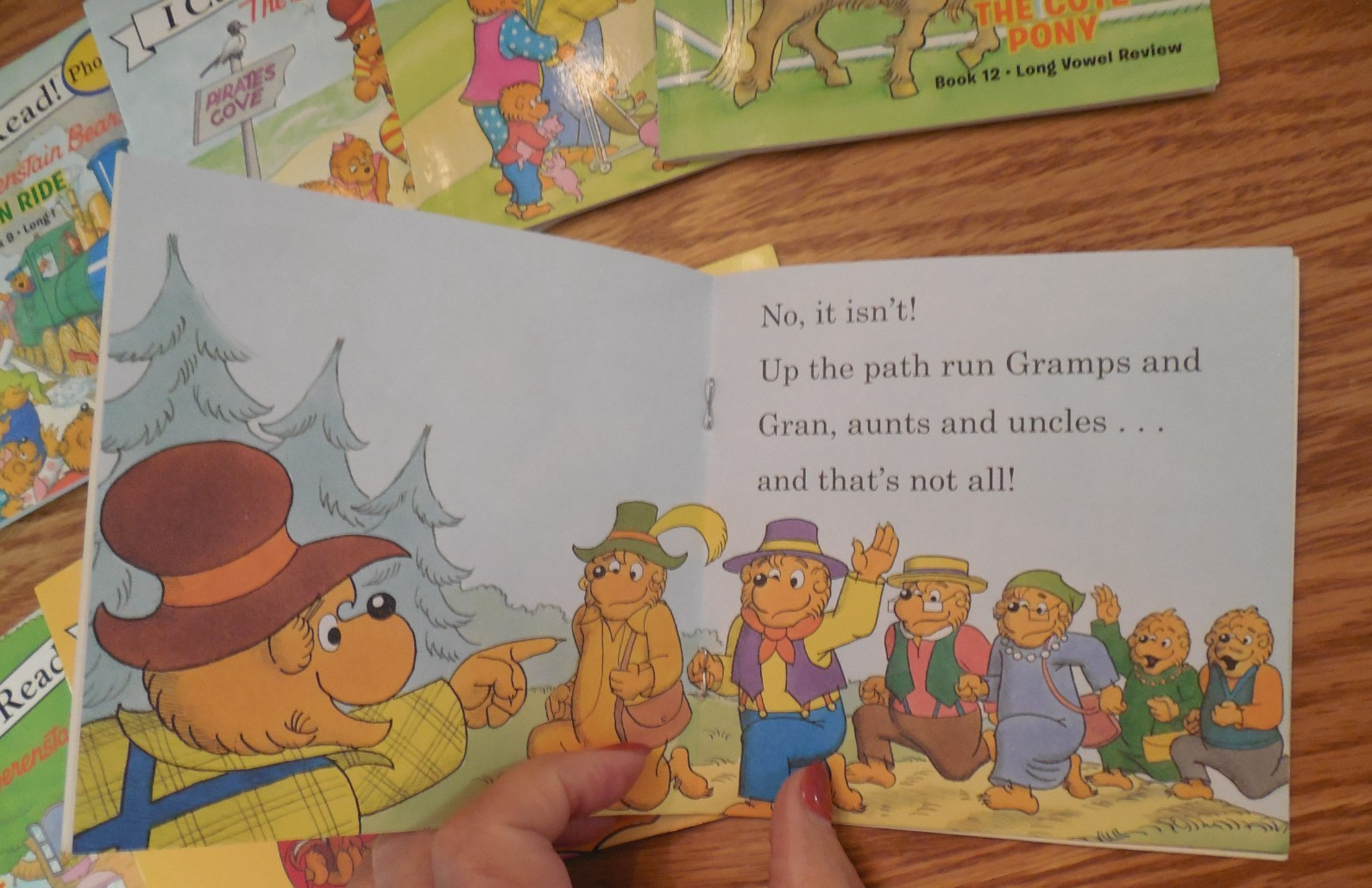 NEW I Can Read Phonics “The Berenstain Bears” 11 Books: #1-4 & #6-12 (Vowels)