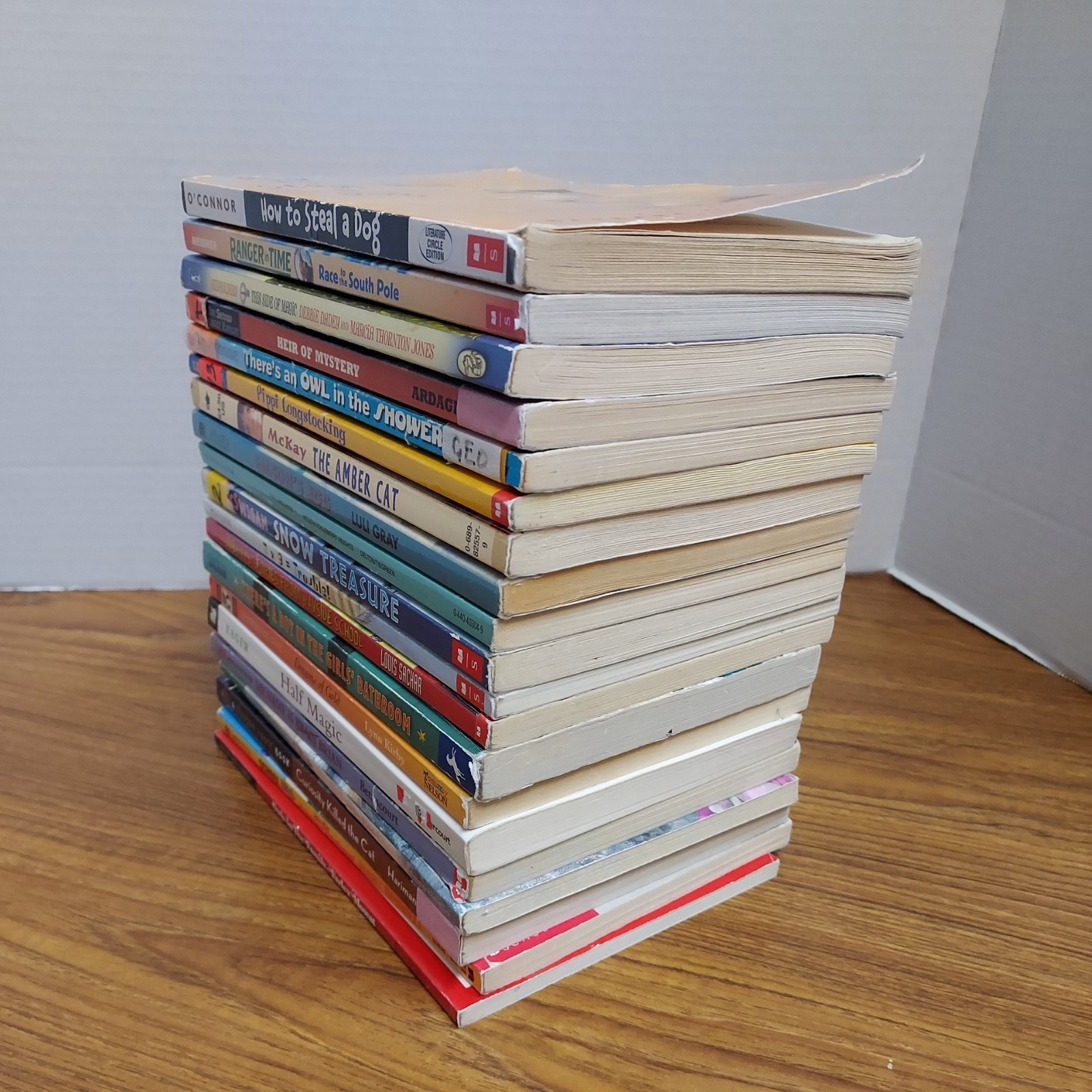 Lot of 20 Chapter Books for 4th Grade Boys & Girls Classroom RL4, AR