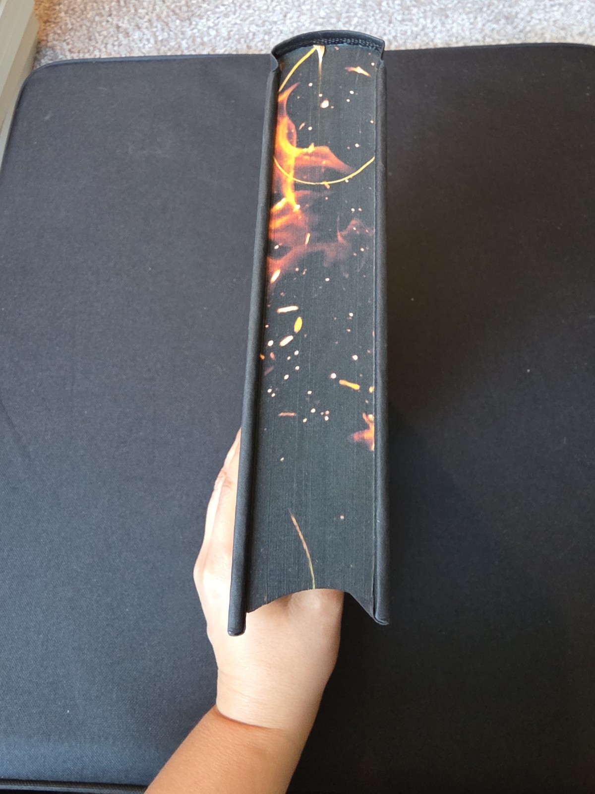 Scarred (Collector’s Edition) by Emily McIntire (2025, Hardcover)