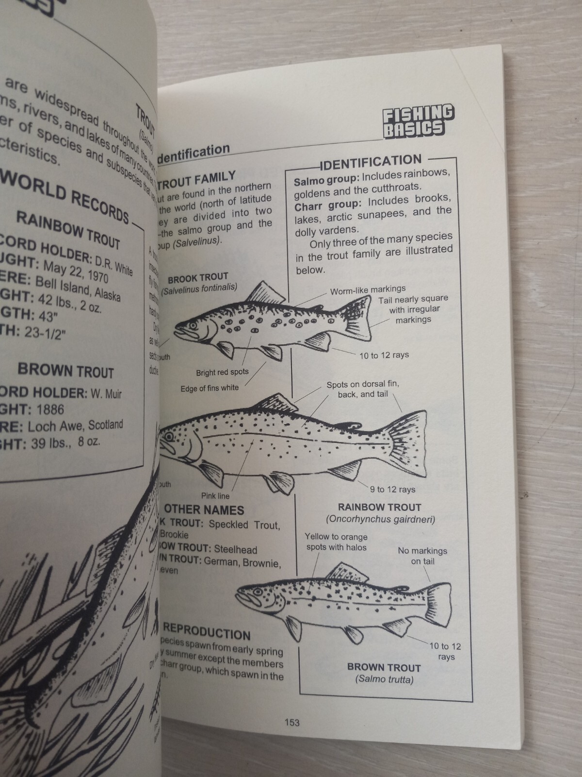 Fishing Basics the Complete Illustrated Guide by Kugach, Gene 1993