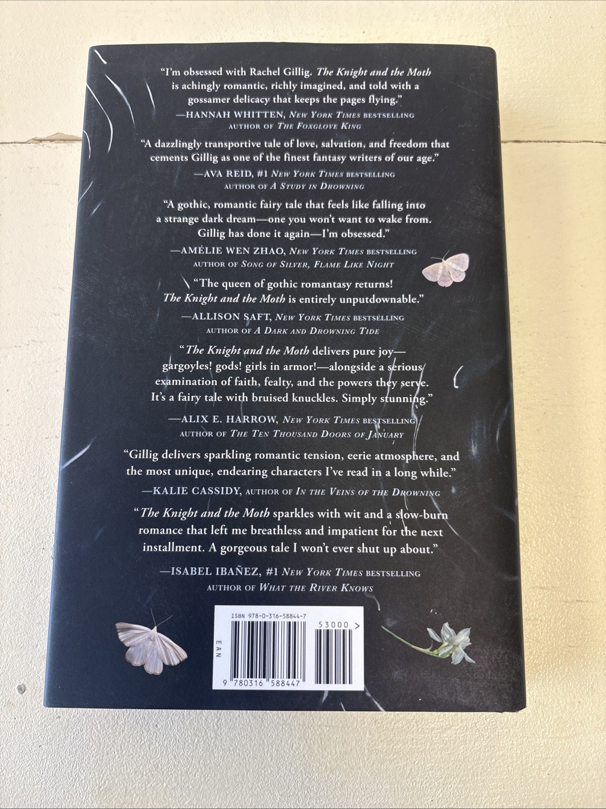 The Knight and the Moth Rachel Gillig Exclusive Barnes Noble Special Edition B&N