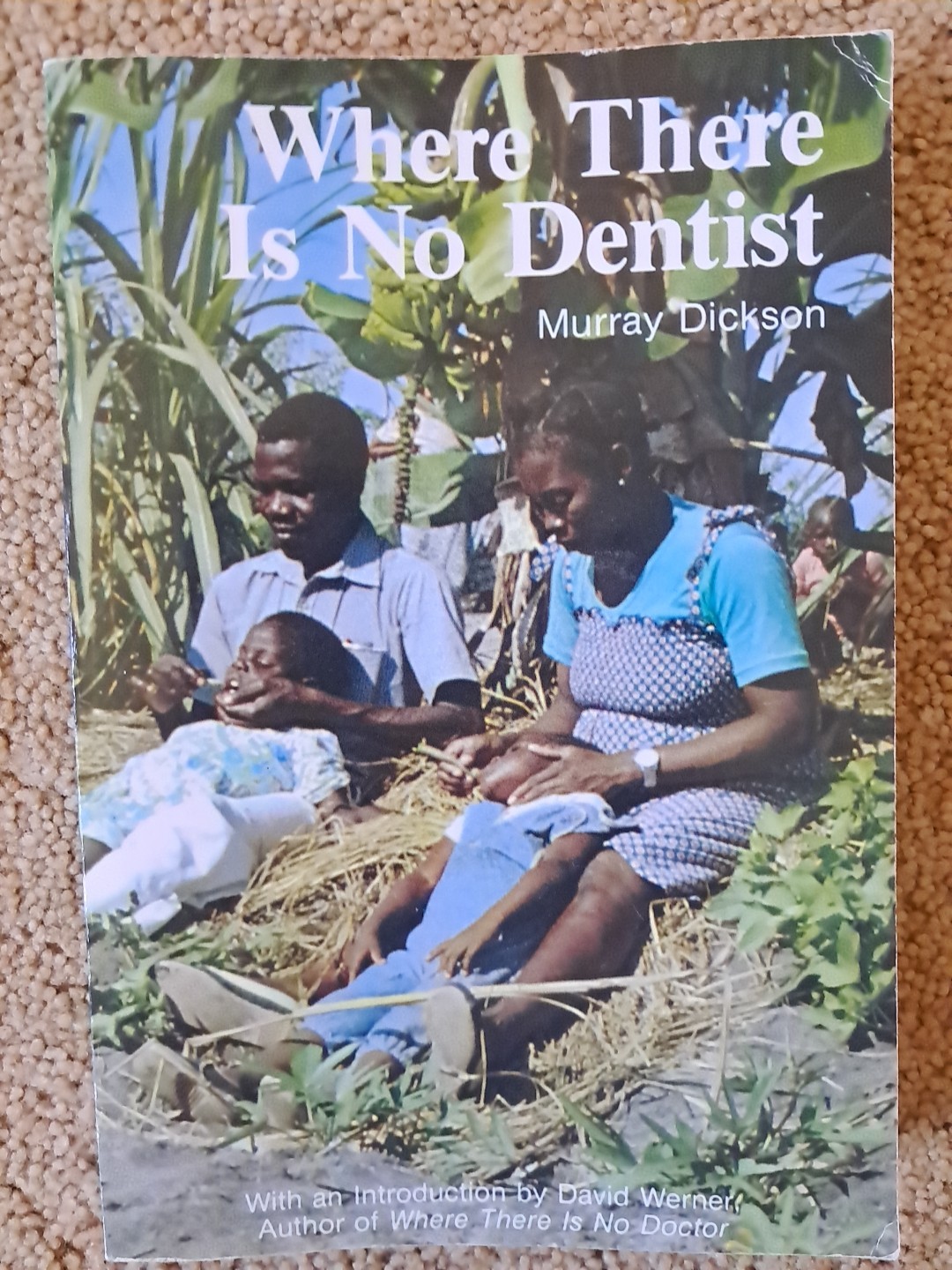 When There is No Dentist by Murray Dickson