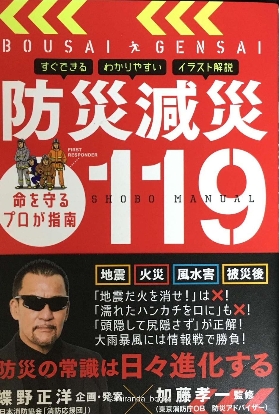 Masahiro Chono Concept and PlanningDisaster Prevention and Mitigation 119