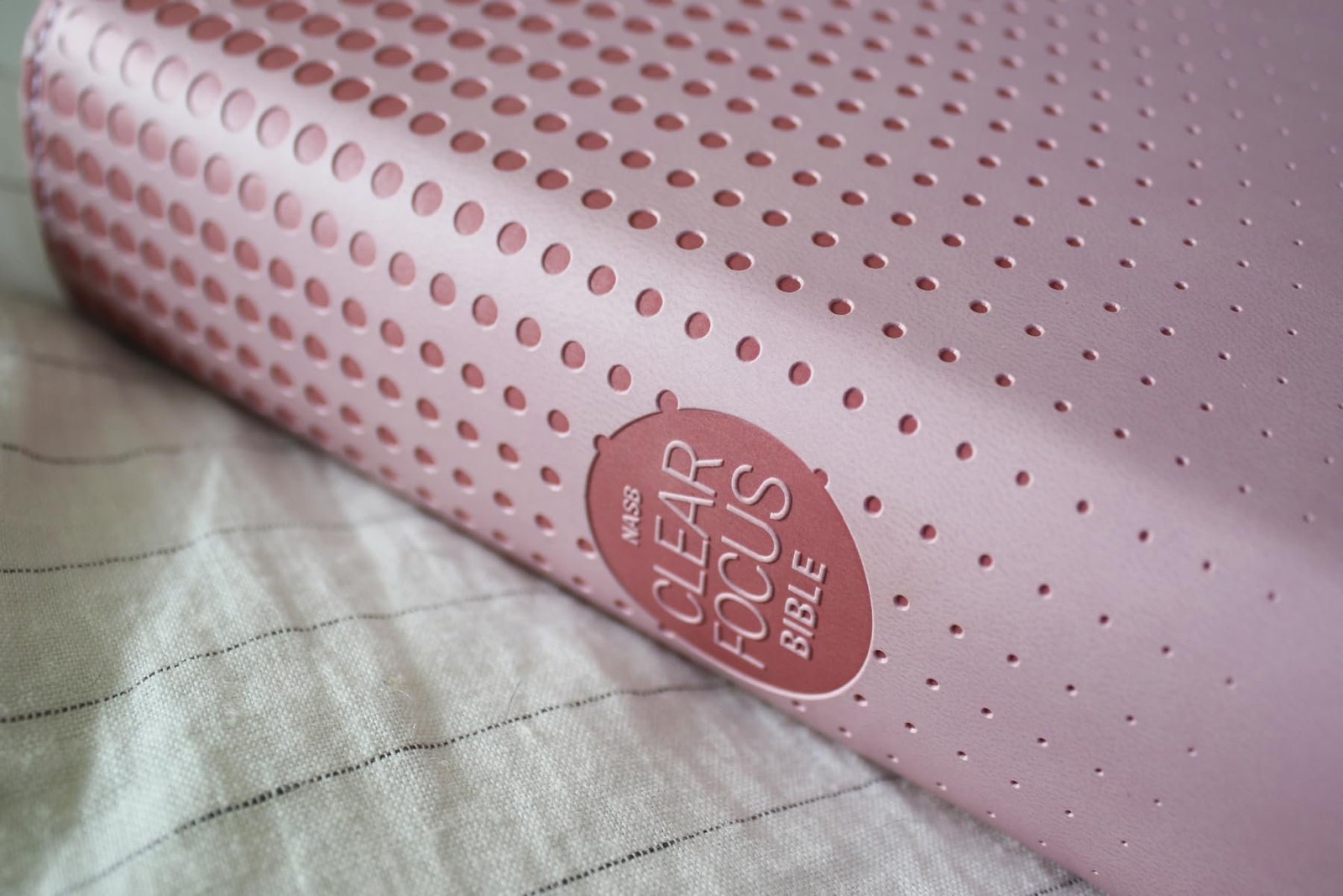 NASB, Clear Focus Bible, Leathersoft, Pink: Read more of the Bible with…