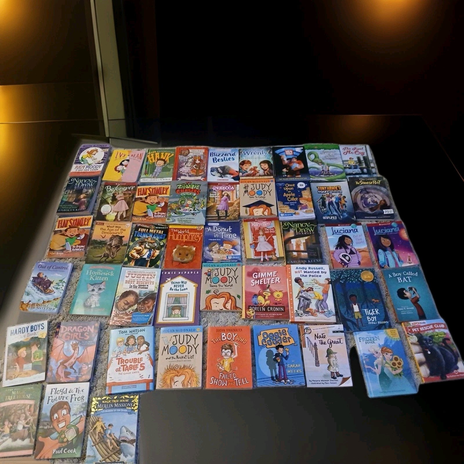 Lot of 30 Chapter INSTANT LIBRARY Children’ Early Readers Random Mix