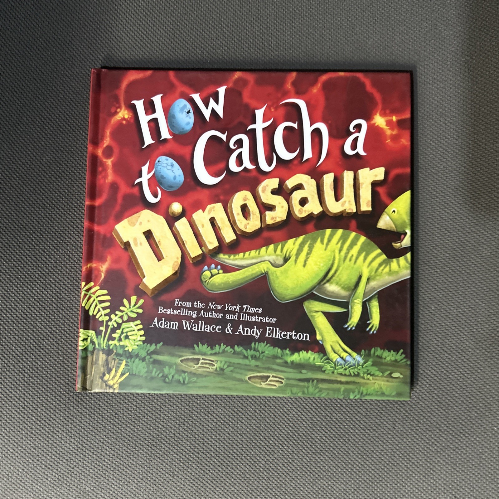 How to Catch a Dinosaur by Adam Wallace (2019, Picture Book)