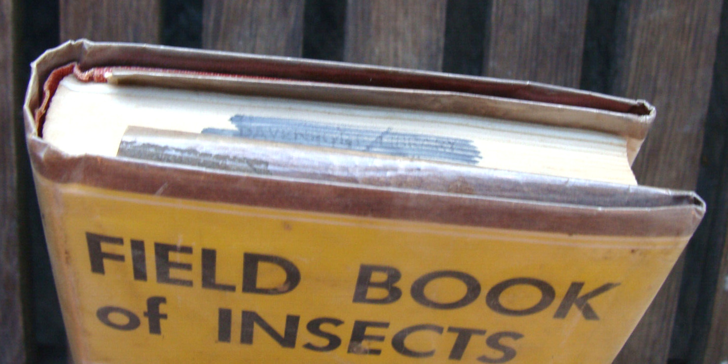 Field Book Of Insects ~1948 HC~ Lutz Entomology Bug Bee Moth Larva Butterfly 🦋