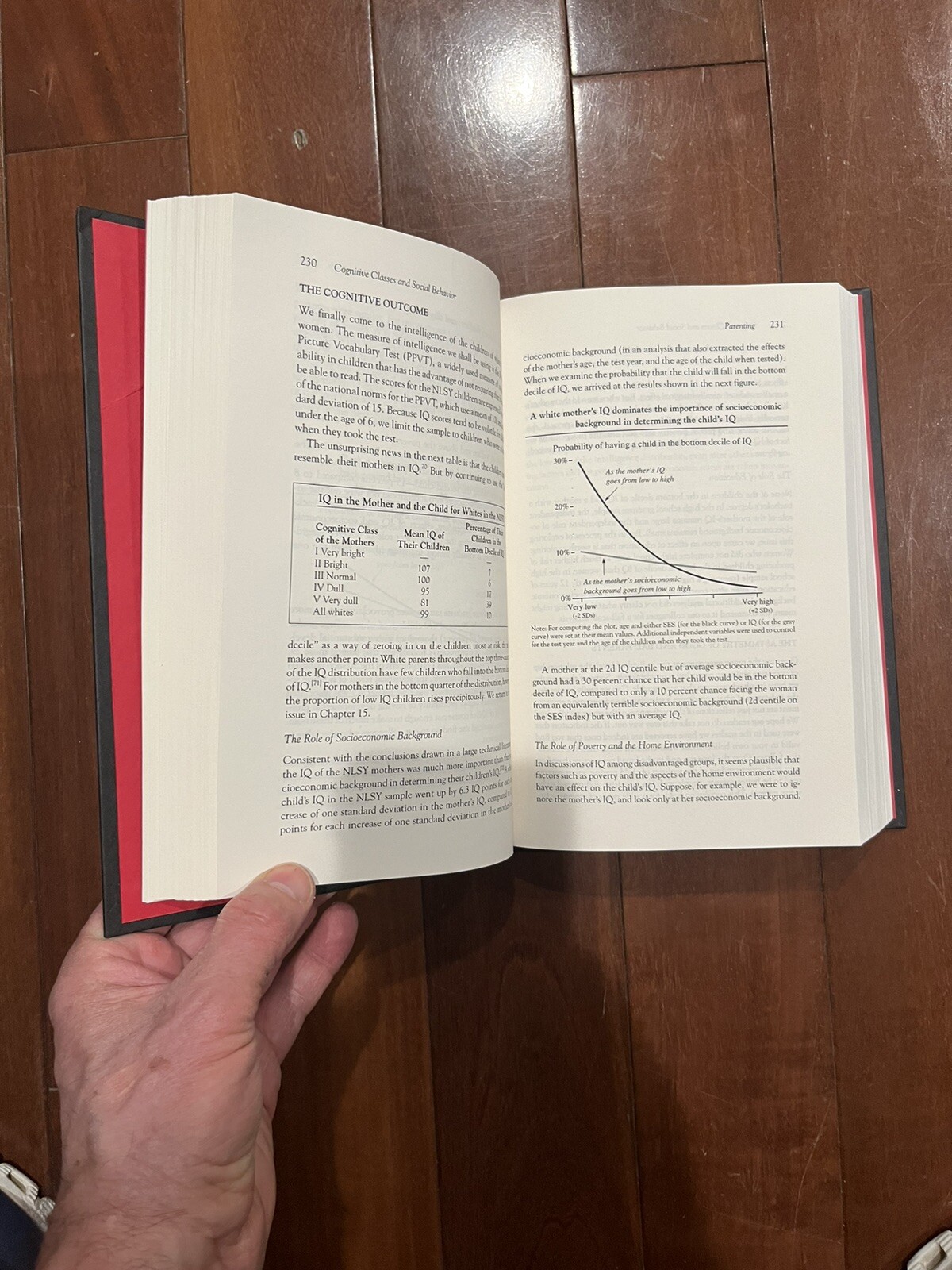 The Bell Curve, Richard Herrnstein. The Free Press 1994. 1st Printing.