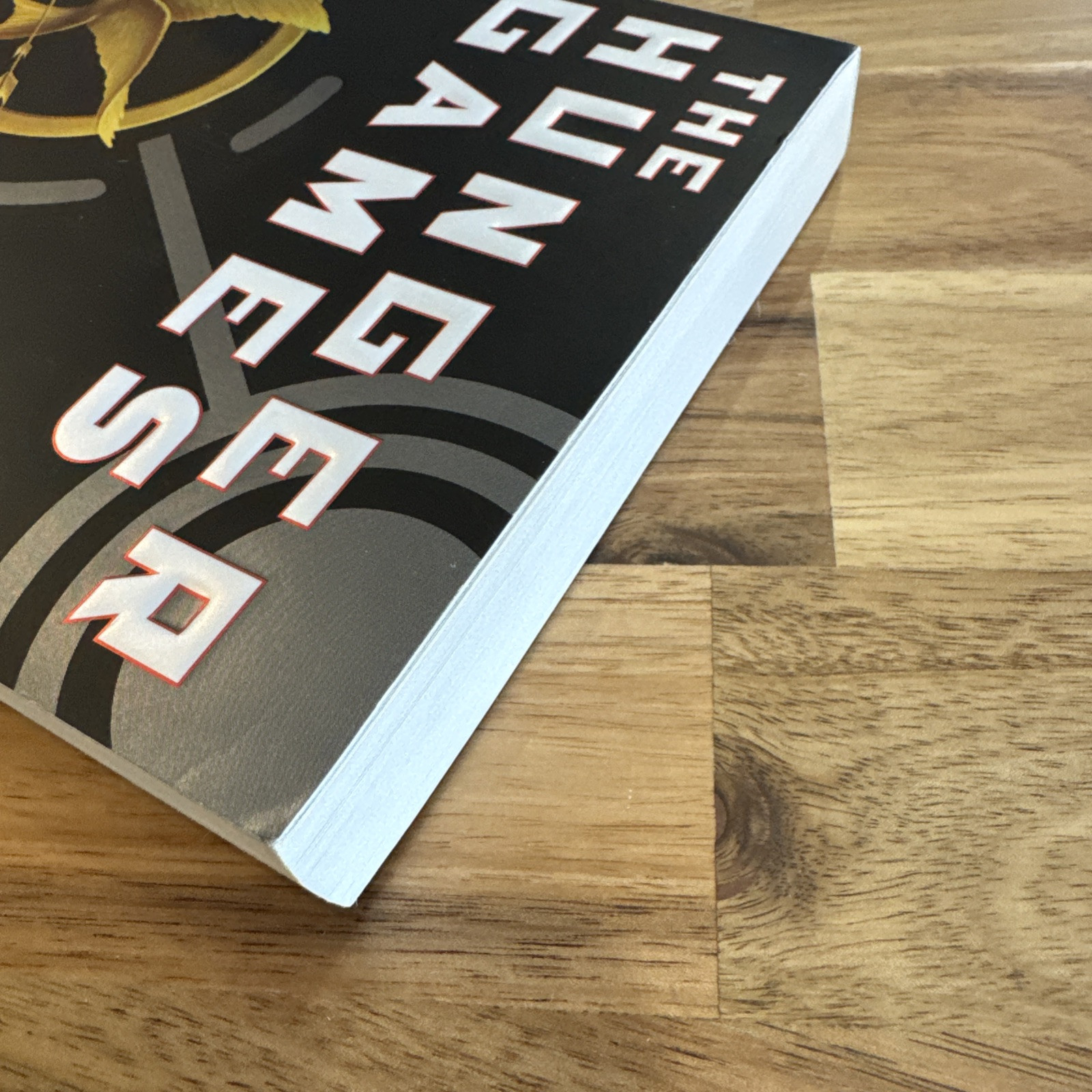 Hunger Games (Hunger Games, Book One) by Suzanne Collins (2010, Trade Paperback)