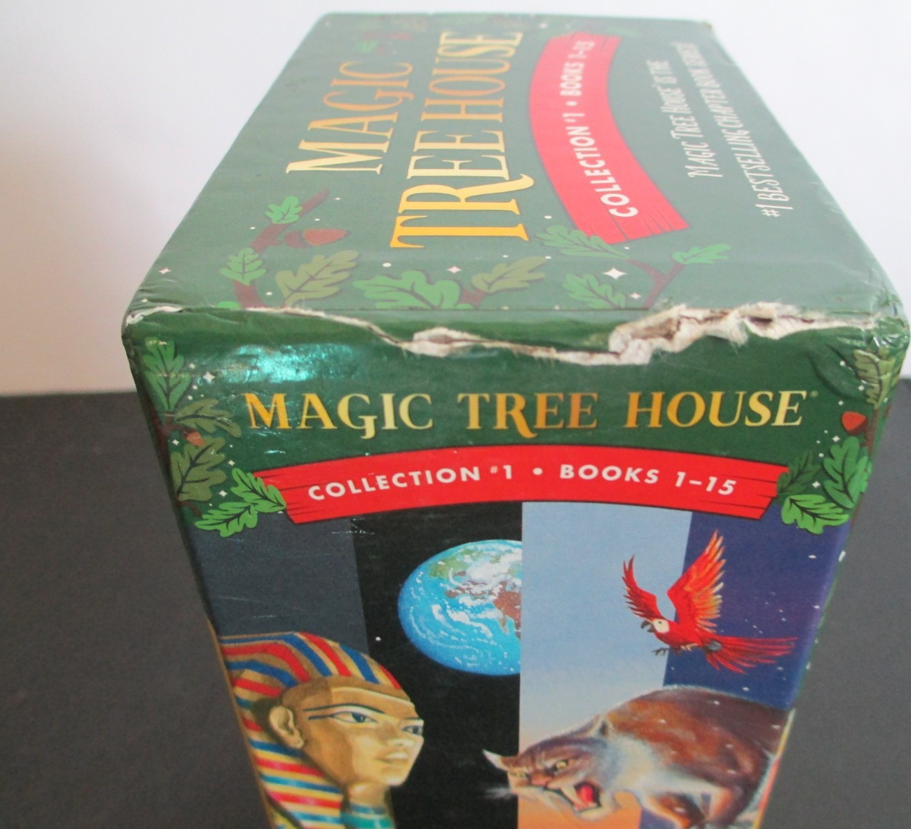 Magic Tree House Collection 1 Boxed Book Set 1-15 by Mary Pope Osborne Paperbac