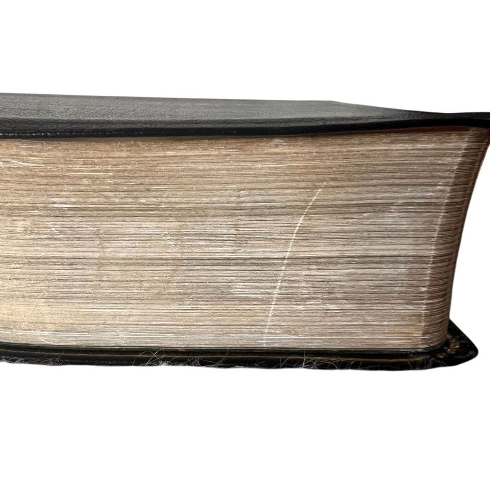 NIV Study Bible Black Leather Red Letter Zondervan Christian Religious
