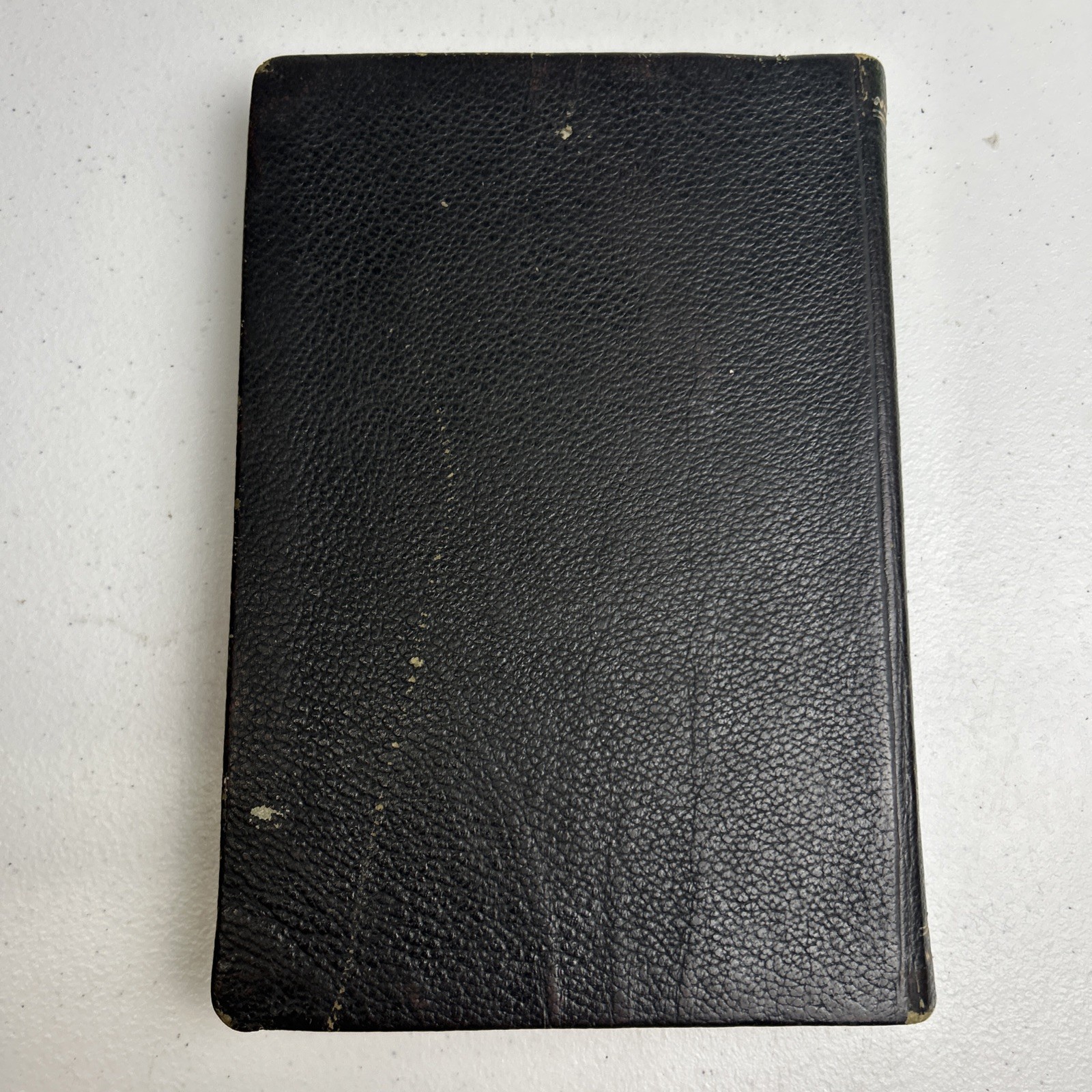 The New Testament Holy Land Edition 1952 Illustrated Catholic Press