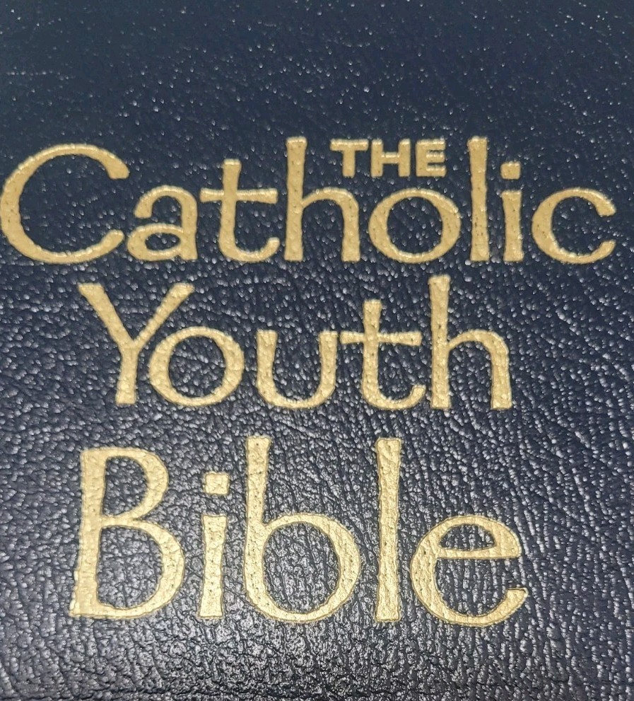 Catholic Youth Bible! In Great Shape