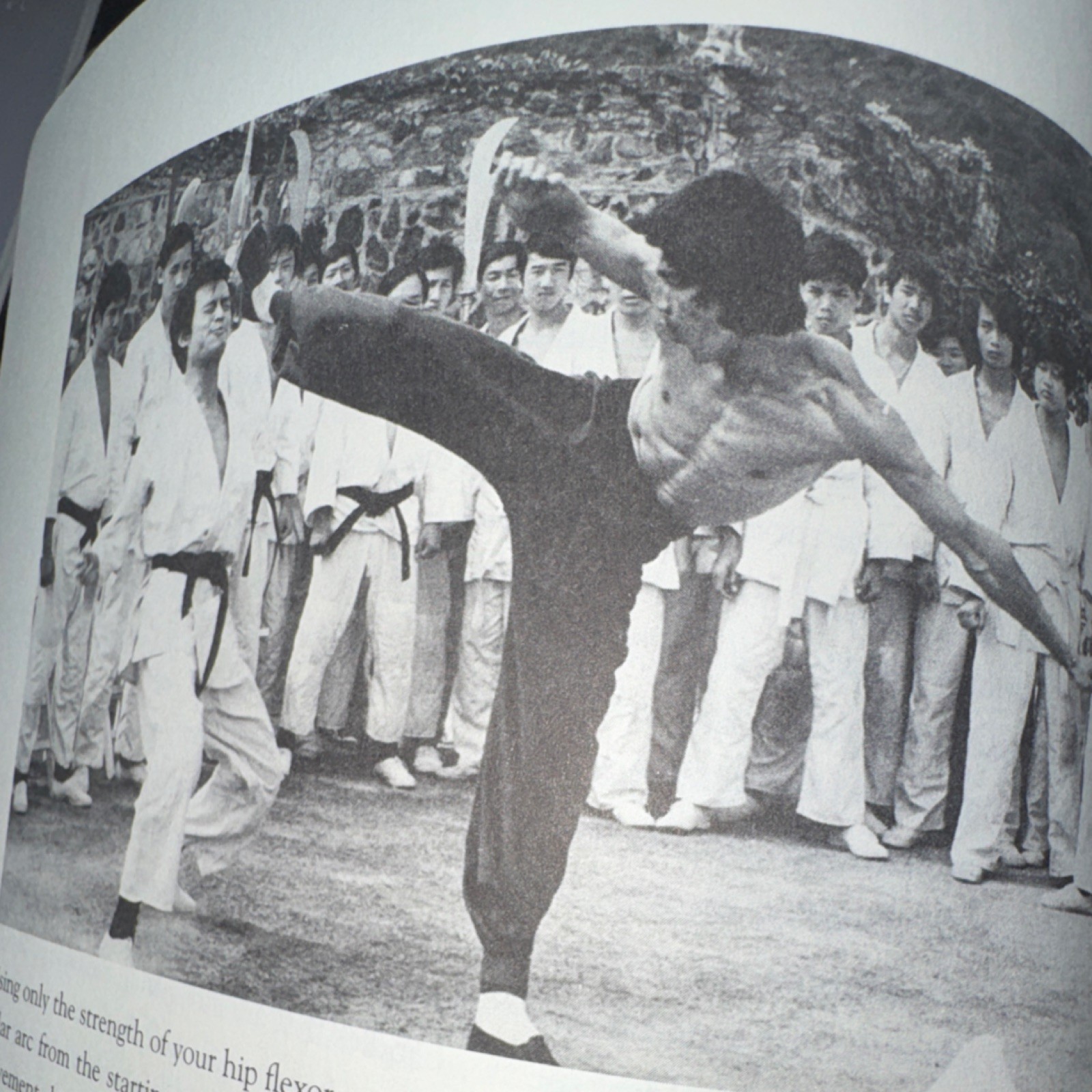 Bruce Lee The Art of Expressing the Human Body Bruce Lee Paperback Martial Arts