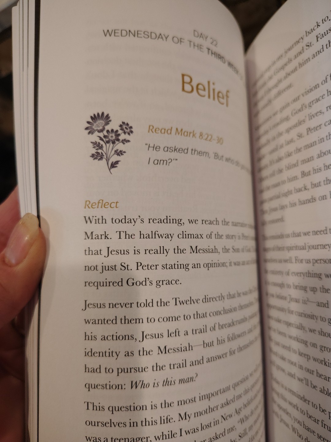 Crux Daily Lenten Meditations Ascension Press Set Of 2