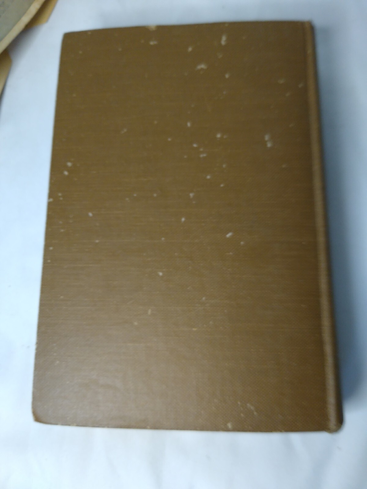 Much Ado About Peter by Jean Webster 1909 Antique Hardcover Torn Dust Jacket