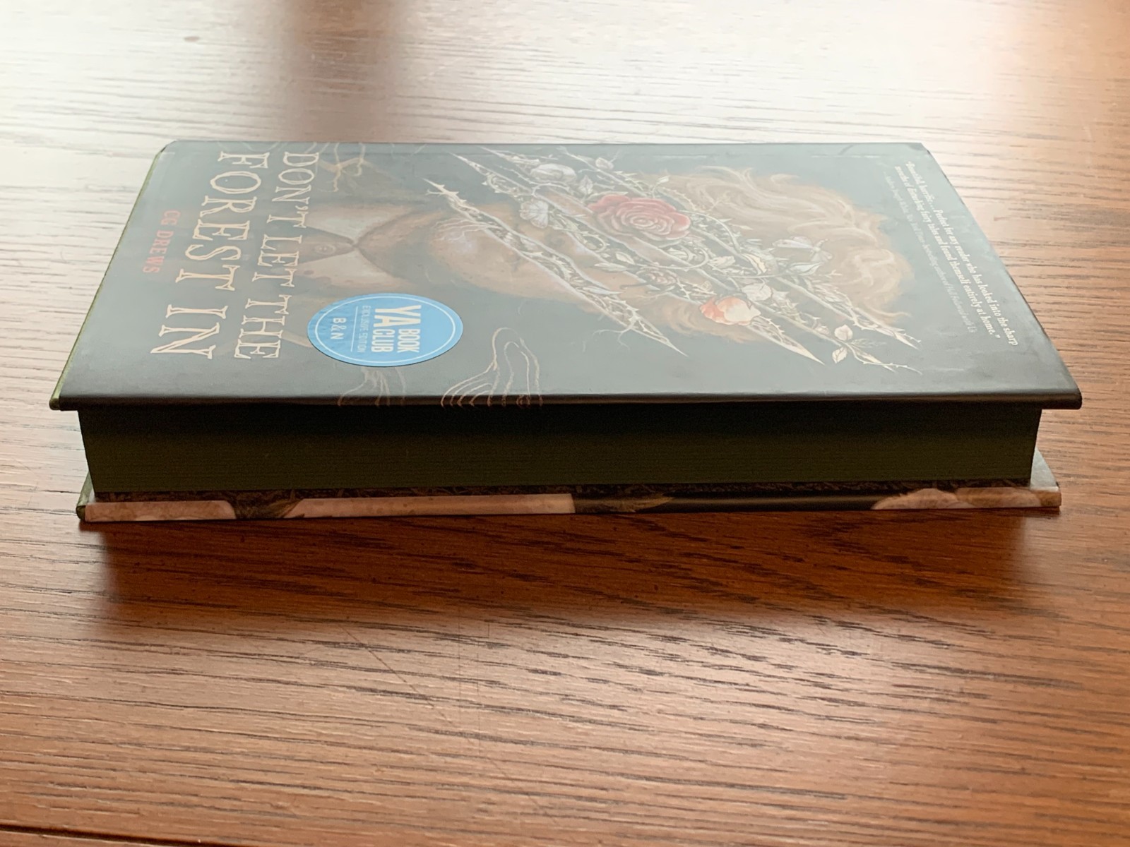 Don’t Let the Forest In by CG Drews Hardcover SPRAYED EDGES DELUXE B&N Barnes